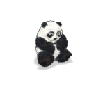 Panda - Jane's Zoo
