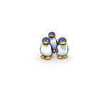 Penguin - Jane's Zoo