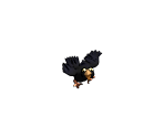 Crow - Jane's Zoo