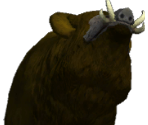 Boar - The Quest