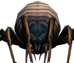 Brown Spider - The Quest