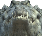 Croc - The Quest