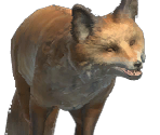 Fox - The Quest