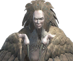Harpy - The Quest