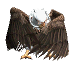 Winged Beast - Yu-Gi-Oh! World Championship 2008