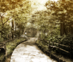 Backgrounds (2/3) - Collar x Malice -Unlimited-