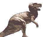 Allosaurus - Dino Rex