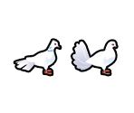 Pidgeon - Delicious - Emily's Wonder Wedding