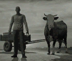 Encounter Backgrounds - ATOM RPG: Post-apocalyptic indie game