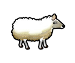 Sheep - Delicious - Emily's Wonder Wedding
