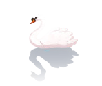 Swan - Delicious - Emily's Wonder Wedding