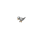 Birds - Codename: Gordon