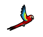 Parrot - Delicious - Emily's Honeymoon Cruise