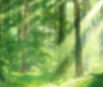 Backgrounds - Pictoquest
