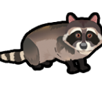 Racoon - Delicious – Emily’s Hopes and Fears