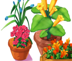 Patrick’s Flower Shop - Delicious – Emily’s Hopes and Fears