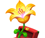 Trophies - Delicious – Emily’s Hopes and Fears