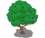 Plum Tree - The Simpsons: Tapped Out