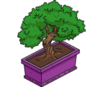 Bonsai - The Simpsons: Tapped Out