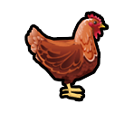 Chicken - Delicious - Emily's Message in a Bottle