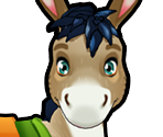 Donkey - Delicious - Emily's Message in a Bottle