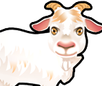 Goat - Delicious - Emily's Message in a Bottle