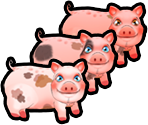 Piglets - Delicious - Emily's Message in a Bottle