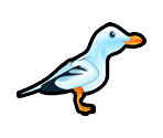 Seagull - Delicious - Emily's Message in a Bottle