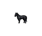 Black Horse - Octopath Traveler: Champions of the Continent