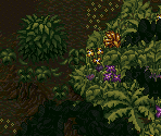 Southern Jungle (Raptor Attack) - Secret of Evermore