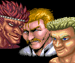 Portraits - Fighting Street / Street Fighter