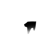 Character Customization Icons - Animal Crossing: New Horizons