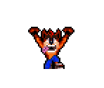 Crash Bandicoot - Crash Bandicoot Customs