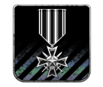 Trophy Banner & Icons - Rogue Warrior