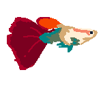 Catchables - WEBFISHING