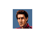Portraits - F1 Team Simulation: Project F (JPN)