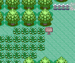 Petalburg Woods - Pokémon Ruby / Sapphire