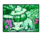 Pokémon Cards (Grass) - Pokémon Trading Card Game 2: Here Comes Team GR! (JPN)