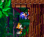 Wood Zone - Sonic the Hedgehog 2 (Prototypes)