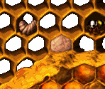 Hornet Hole Bonus 1 - Donkey Kong Country 2: Diddy's Kong Quest