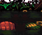 Mudhole Marsh Bonus 1 - Donkey Kong Country 2: Diddy's Kong Quest