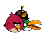 Birds - Angry Birds in The Hunt For The Golden Pistachio
