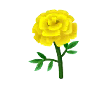 Flowers - Animal Crossing: Pocket Camp