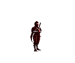 Ninja Kunoichi - Mystical Fighter