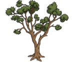 Desert Tree - The Simpsons: Tapped Out