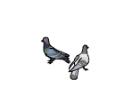 Birds - Wedding Dash 2: Rings Around the World