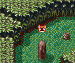 Asia Regions (Islands) - Terranigma