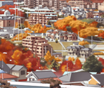 Miyama - Fate/Hollow Ataraxia