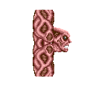 Wall Enemy - Mystic Defender / Kujaku-Ou 2