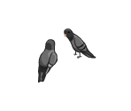 Birds - Wedding Dash: Ready, Aim, Love!